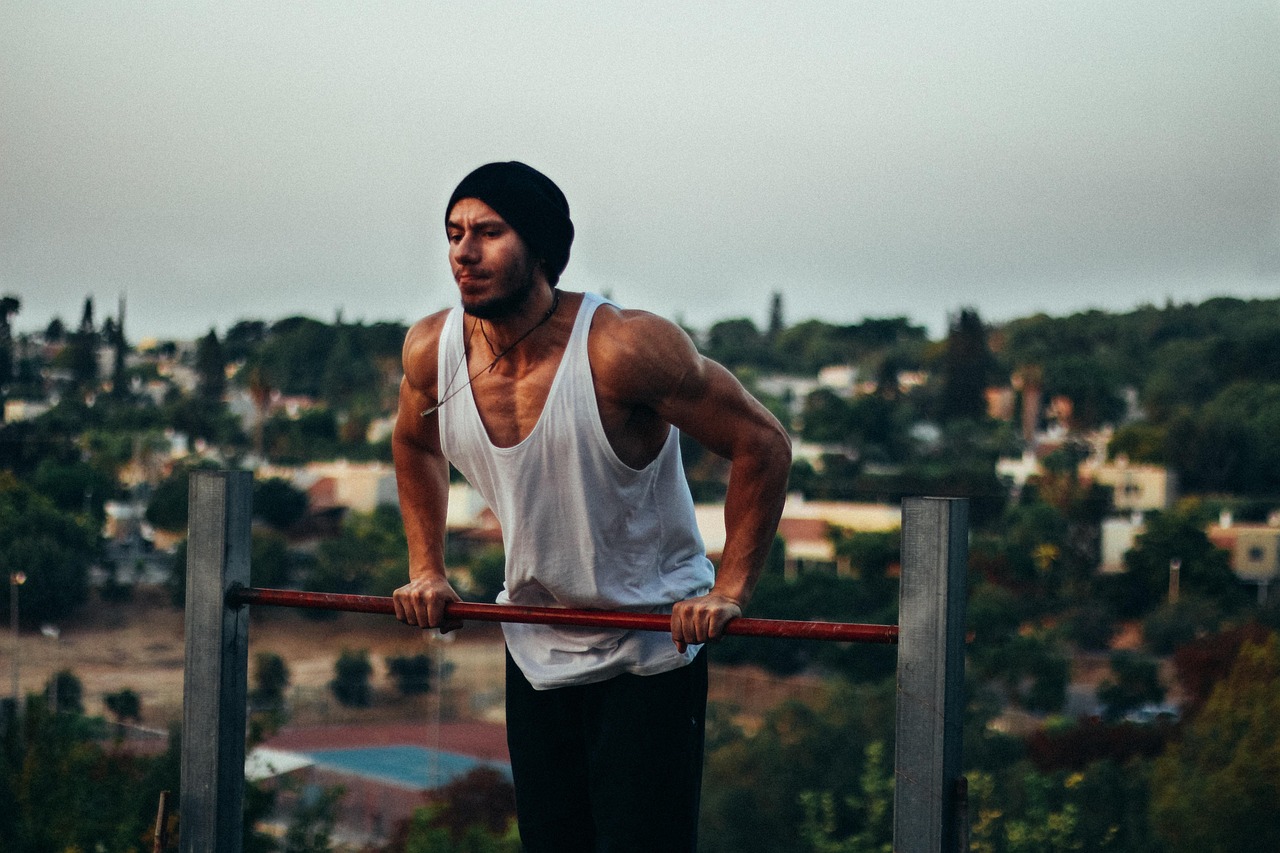 Robingym Fitness Club collection